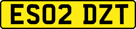 ES02DZT