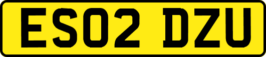 ES02DZU