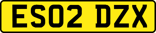 ES02DZX
