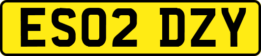 ES02DZY