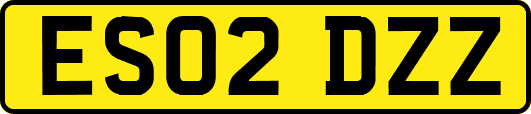 ES02DZZ