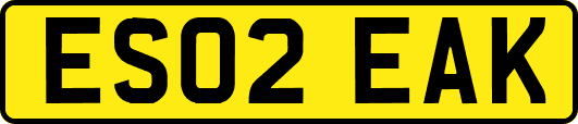 ES02EAK