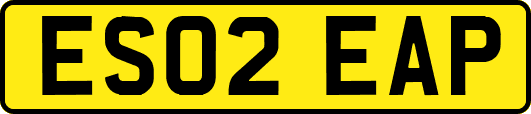 ES02EAP