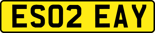 ES02EAY