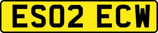 ES02ECW
