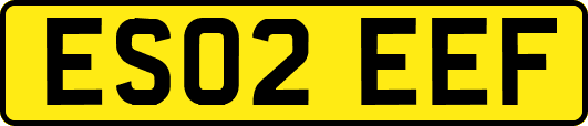 ES02EEF