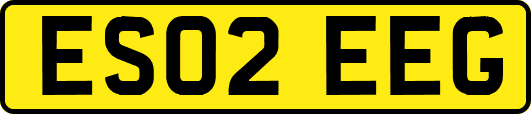 ES02EEG