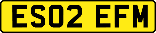 ES02EFM