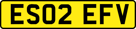 ES02EFV