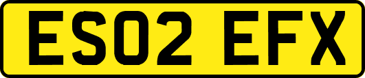ES02EFX