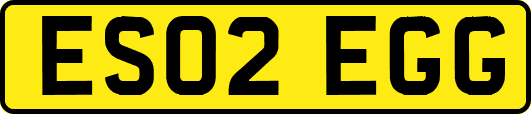 ES02EGG