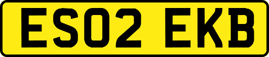 ES02EKB