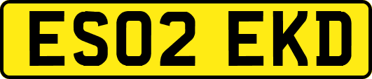 ES02EKD