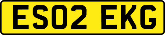 ES02EKG