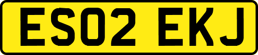 ES02EKJ