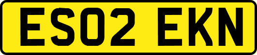 ES02EKN