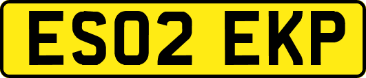 ES02EKP