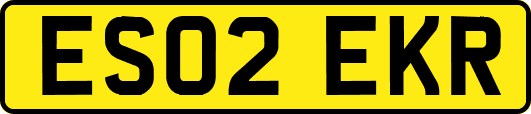 ES02EKR