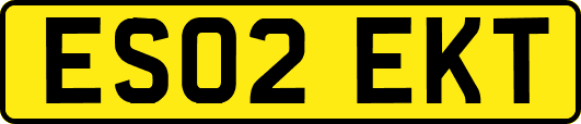 ES02EKT