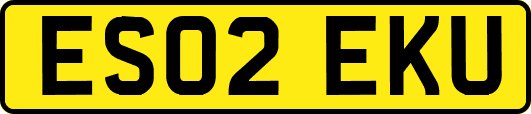 ES02EKU