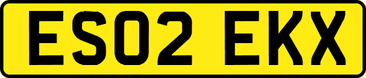 ES02EKX