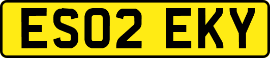 ES02EKY
