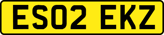 ES02EKZ