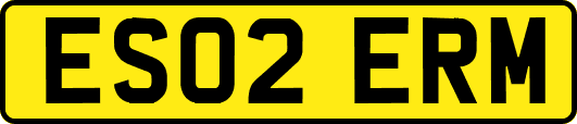 ES02ERM