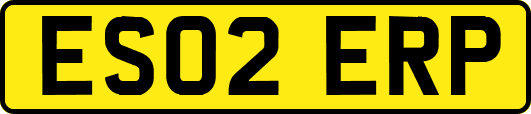 ES02ERP
