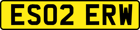 ES02ERW