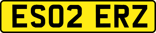 ES02ERZ