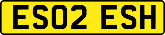 ES02ESH