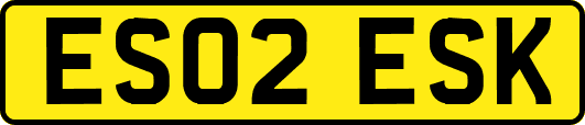 ES02ESK