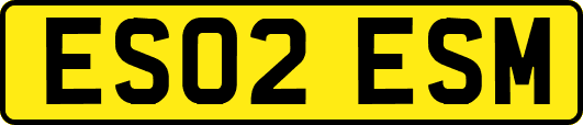 ES02ESM