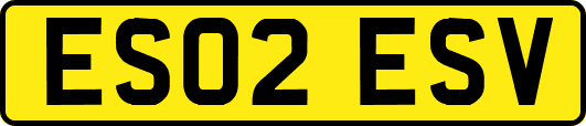 ES02ESV