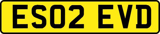 ES02EVD