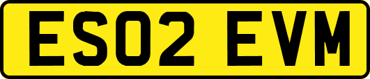 ES02EVM