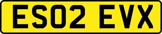 ES02EVX