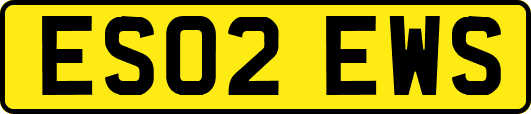 ES02EWS