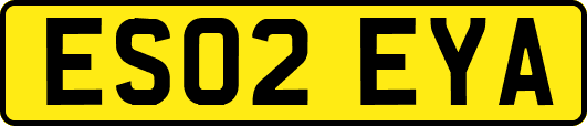 ES02EYA