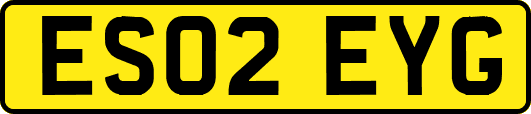 ES02EYG