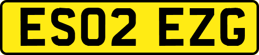 ES02EZG