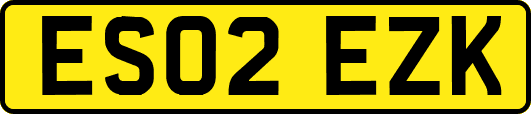 ES02EZK