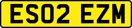 ES02EZM