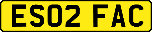 ES02FAC