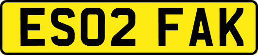 ES02FAK