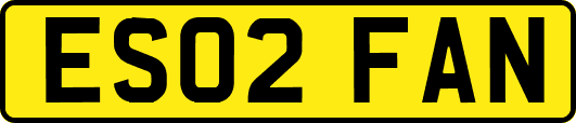 ES02FAN