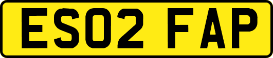 ES02FAP