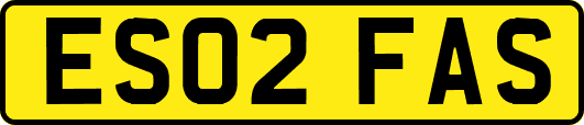 ES02FAS