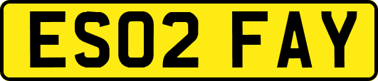 ES02FAY